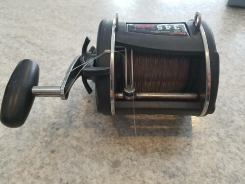 20190305_112856.jpeg