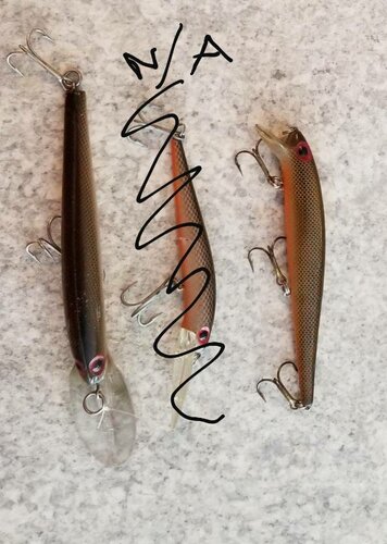 20190310_122117.jpeg