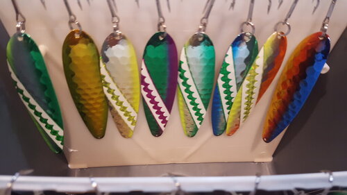 20190312_091325.jpg