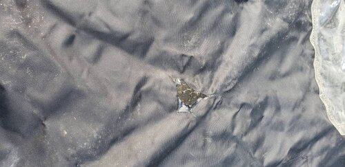 20190312_163501.jpeg