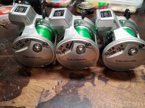 20190318_210453.jpeg