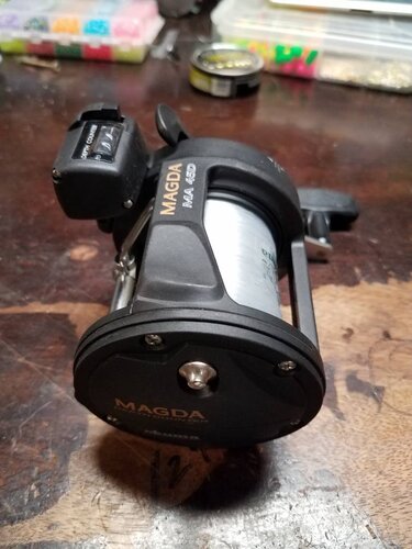 20190318_210541.jpeg