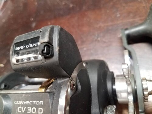 20190318_210635.jpeg