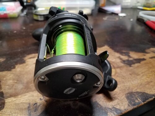20190318_210750.jpeg