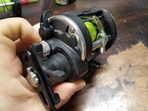20190318_210807.jpeg