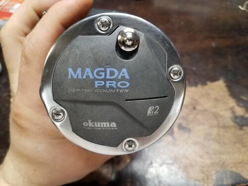 20190318_210924.jpeg