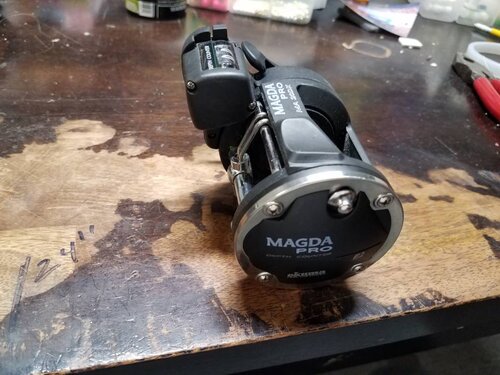 20190318_211029.jpeg
