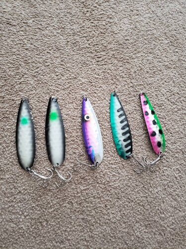 20190323_111502.jpeg
