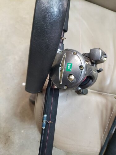 20190324_140708.jpg