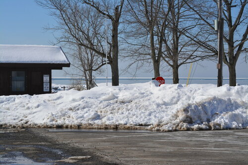 DSC_0332.thumb.JPG.7ad9b9635112e64b65a467fde5611b65.JPG