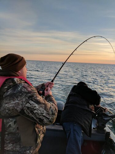 IMG_20190327_072658.jpeg