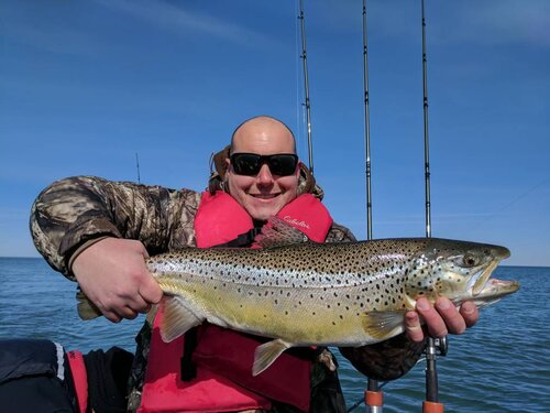 IMG_20190327_104829.jpeg