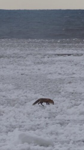 IMG_2147.JPG