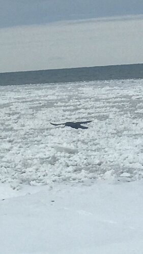 IMG_2152.JPG