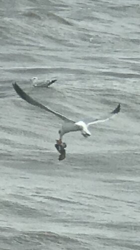 IMG_2280.JPG