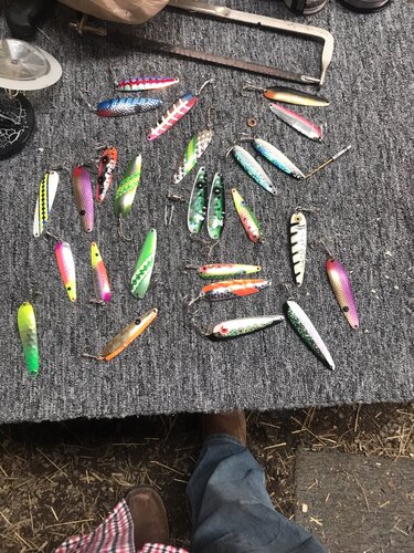 57722233954__238C2382-3D4E-48D3-8297-D7E1D3E6E279.JPG