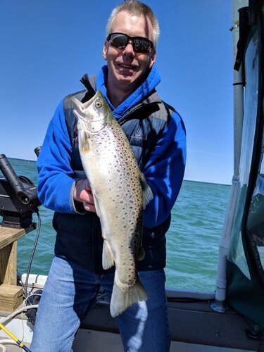 MVIMG_20190413_121030.jpg