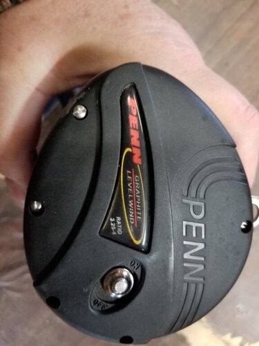 Resized_20190316_135036_3293.jpeg