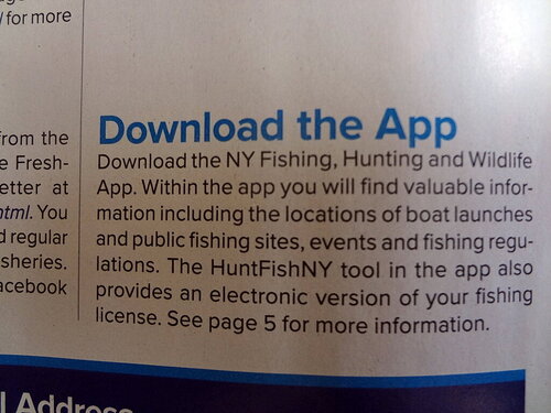 app.jpg