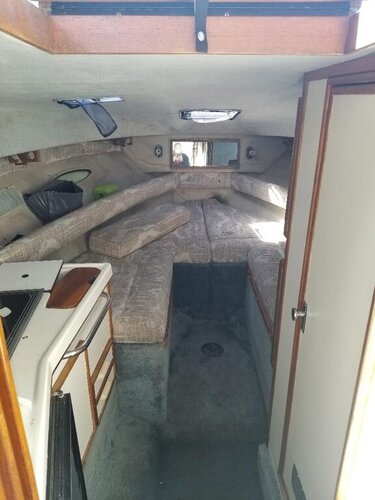 searay.thumb.jpg.c4a972a80433ac5015df09703a704438.jpg