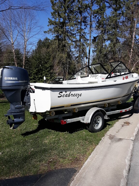 Trout, Salmon, Walleye boat Boats for Sale Lake Ontario United