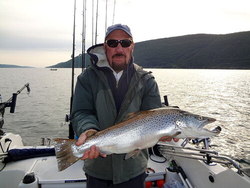 10lbbrown.thumb.jpg.7304c805dcedea08c6716023df6d4878.jpg