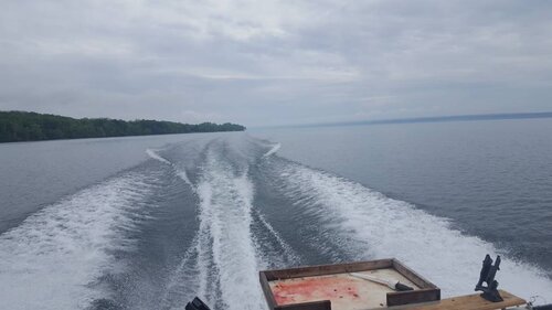 20190529_141445.jpeg