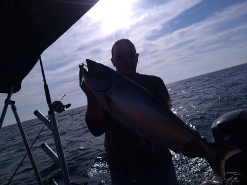 IMG952019052695081105839.jpeg