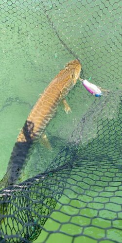 IMG_0162.jpeg