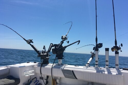 IMG_0202.JPG