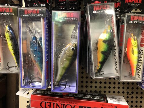 image.thumb.jpg.d76664f4dc28971b2639694b8fdb87c5.jpg