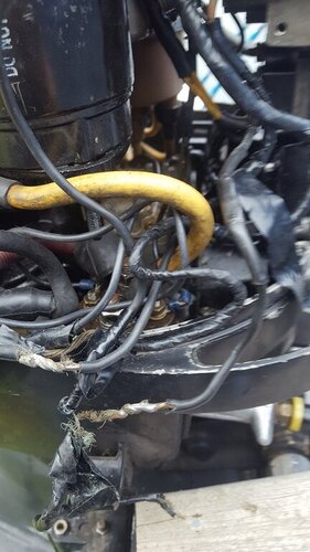 outboard motor wiring.jpg