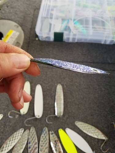 20190607_090440.thumb.jpeg.5e24b5a9d51ee310fdb53f2996da5254.jpeg