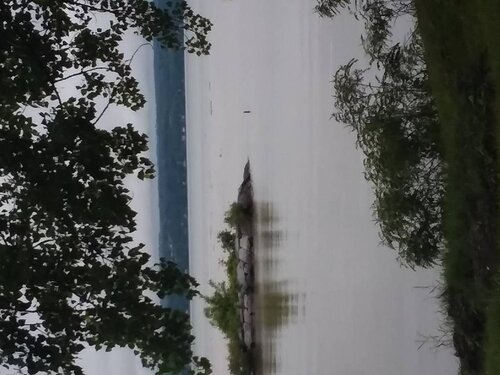 20190620_132426.jpg