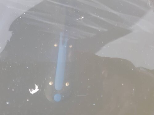20190626_073509.jpeg