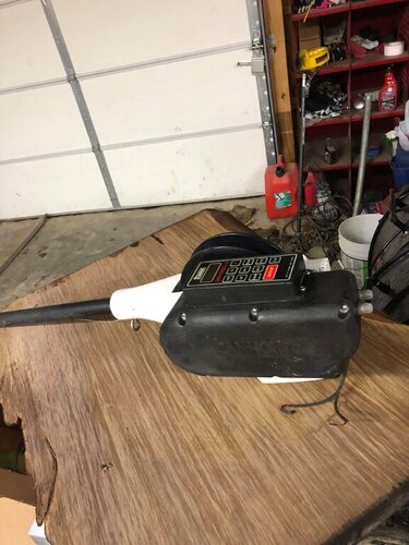 64817914_411295592792643_23148254522769408_n.jpg