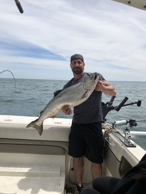 Olcott / Wilson 692019 New York Fishing Reports Lake Ontario (South Shore) Lake Ontario