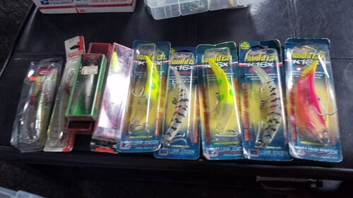 20190730_095717.jpeg