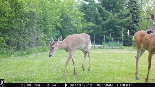 IMG_0812.JPG