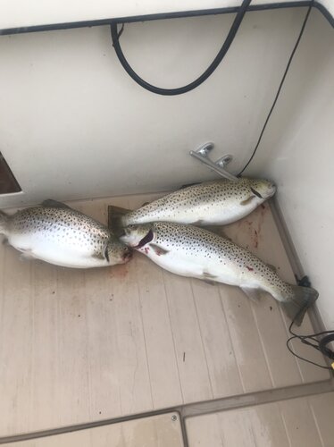 IMG_5065.JPG