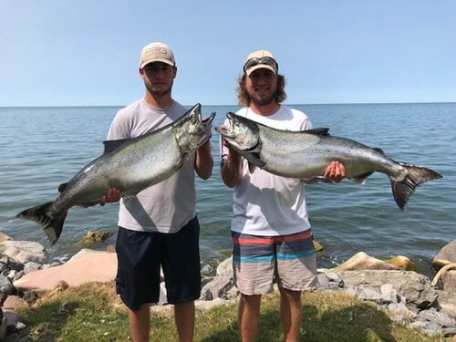 fish.jpg