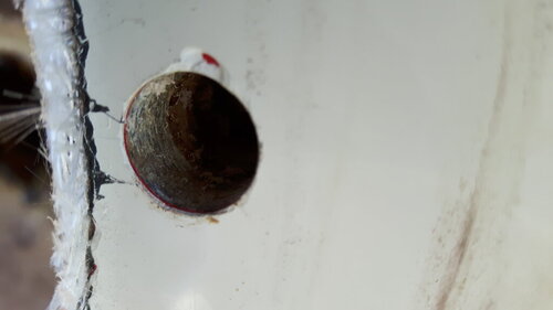 20170422_172954.jpg