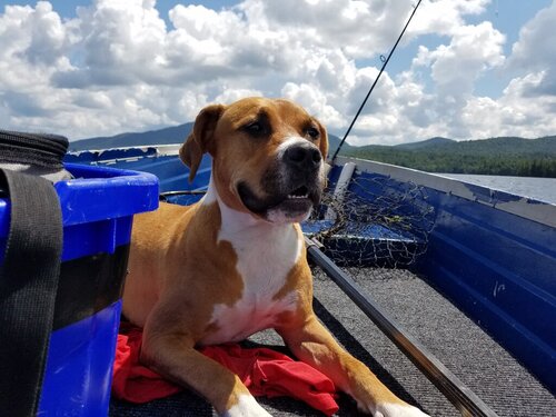 20180804_125736.jpg