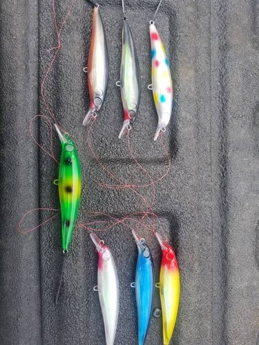20190520_124522.jpeg