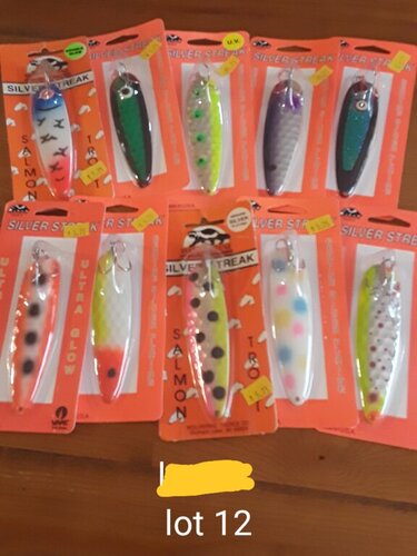 20190813_060311.thumb.jpg.f1e09e3181531e56637952443a2909e2.jpg