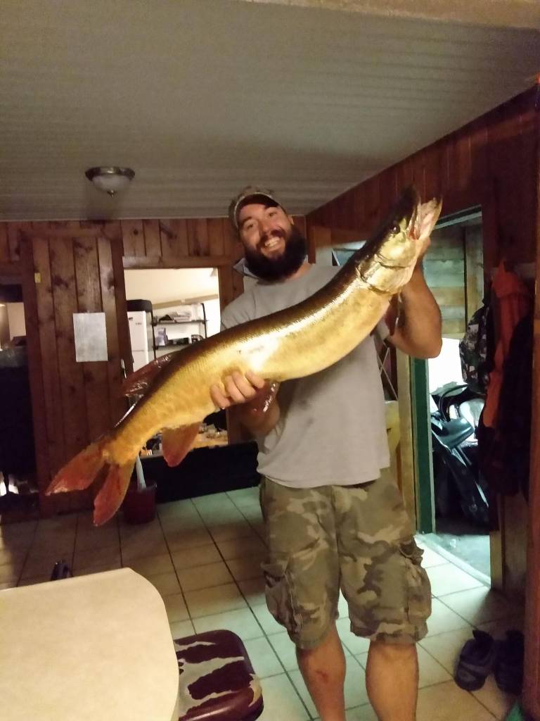 Taxidermist? - Musky, Tiger Musky & Pike (ESOX) - Lake Ontario United -  Lake Ontario's Largest Fishing & Hunting Community - New York and Ontario  Canada