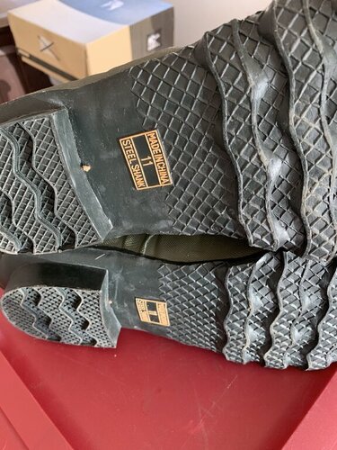 695DFB88-A34D-4BA0-AA6A-16C9B4EC39D1.jpeg