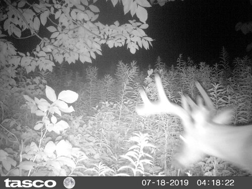 HUNT0285.JPG