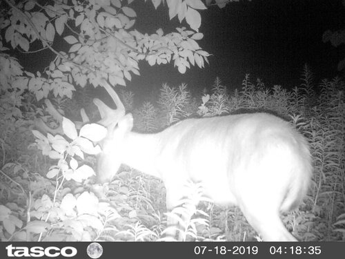 HUNT0286.JPG