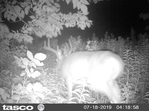HUNT0288.JPG